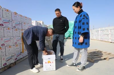 林果&ldquo;網(wǎng)上&rdquo;賣 蹚出新天地