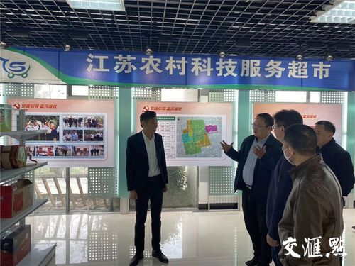 破解無(wú)人種地困境,泰州建1.3萬(wàn)家農(nóng)民合作社和家庭農(nóng)場(chǎng)