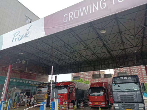 萬(wàn)邦市場(chǎng)貨量充足,供應(yīng)基本正常,農(nóng)副產(chǎn)品價(jià)格基本穩(wěn)定