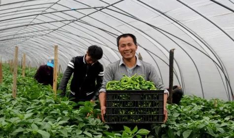 必看 2019年中央 一號(hào)文件 發(fā)布,這六大新變化 三個(gè)投資方向,將直接影響你的錢(qián)袋子