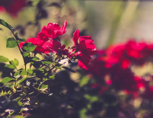 變心之人難免會體現(xiàn)在細(xì)節(jié)上,尤其出現(xiàn)第三條,基本坐實(shí)