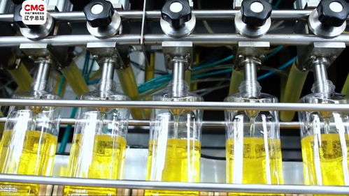 錦州小花生成就致富大產業 禽蛋經濟的繁榮之路