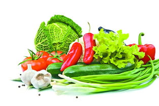 政府支持為堅(jiān)強(qiáng)后盾，有效避免禽蛋等農(nóng)產(chǎn)品價格大起大落