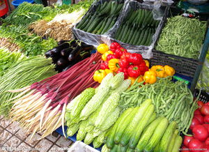 青島氣溫升高菜價(jià)持續(xù)回落，家禽供應(yīng)平穩(wěn)價(jià)格企穩(wěn)